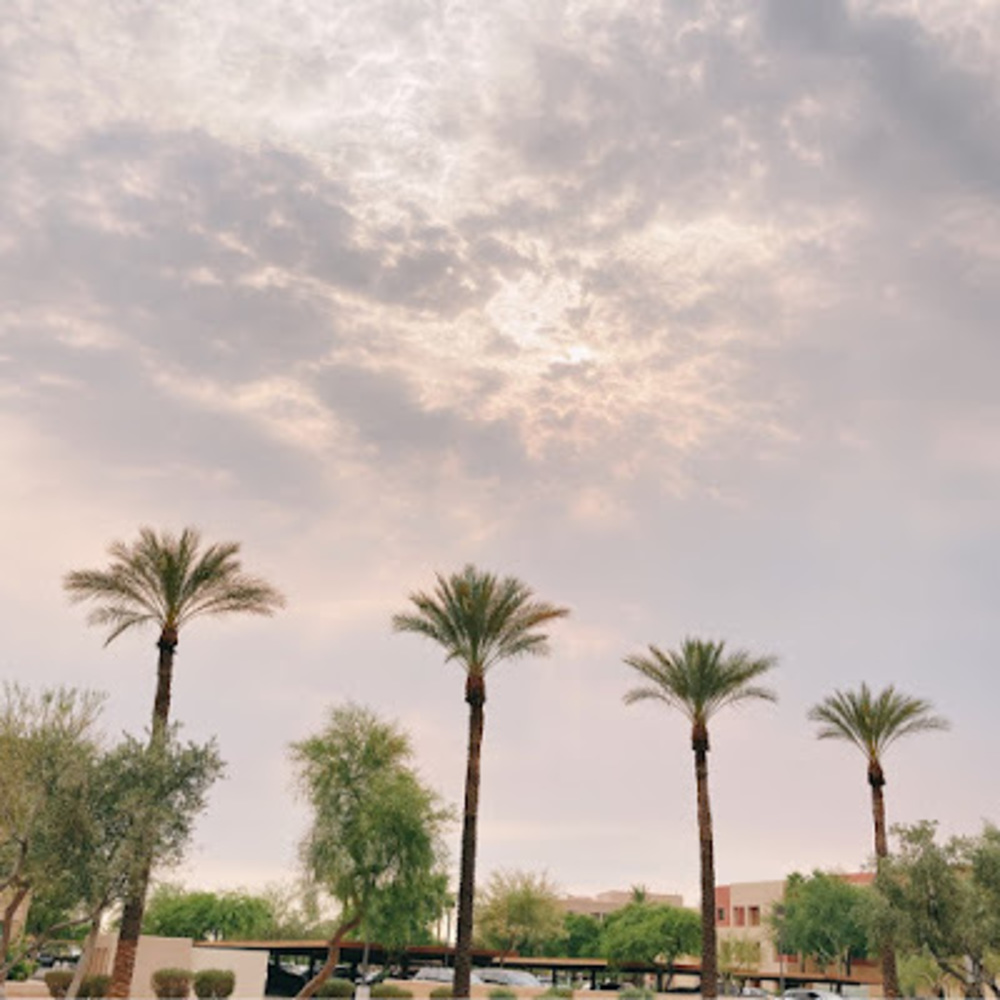 Meet your Posher, Phoebe